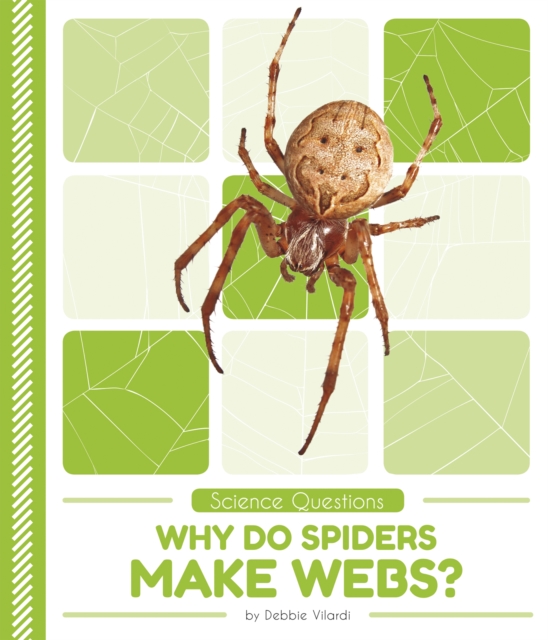 Science Questions: Why Do Spiders Make Webs?, Paperback / softback Book