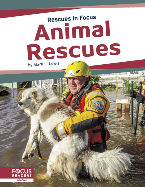 Rescues in Focus: Animal Rescues, Hardback Book
