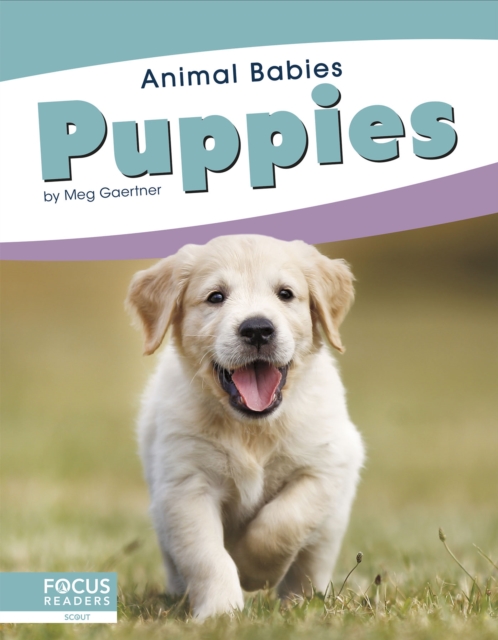 Animal Babies: Puppies, Paperback / softback Book