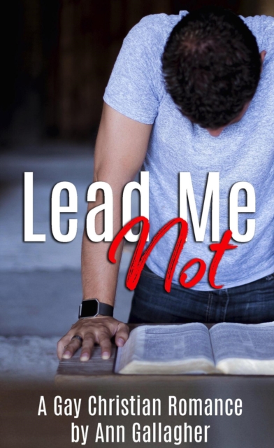 Lead Me Not: A Gay Christian Romance, EPUB eBook