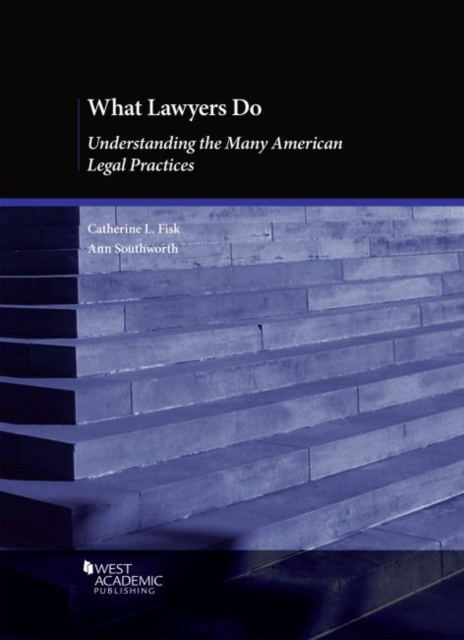What Lawyers Do : Understanding the Many American Legal Practices, Paperback / softback Book