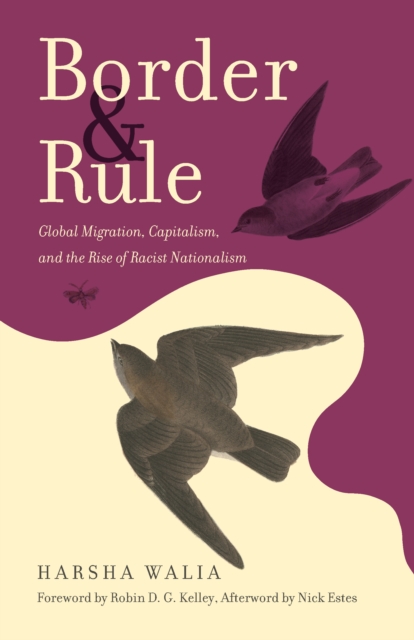Border and Rule : Global Migration, Capitalism, and the Rise of Racist Nationalism, EPUB eBook