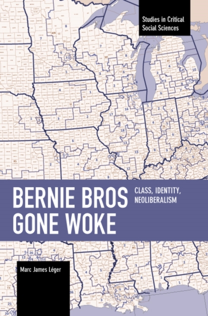 Bernie Bros Gone Woke : Class, Identity, Neoliberalism, Paperback / softback Book