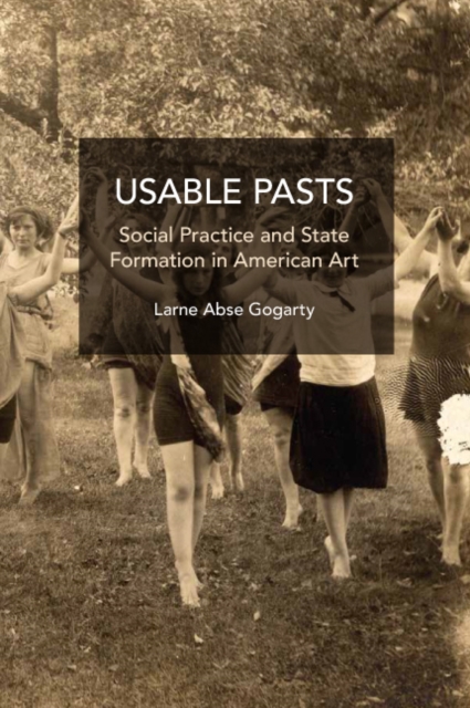 Usable Pasts : Social Practice and State Formation in American Art, Paperback / softback Book