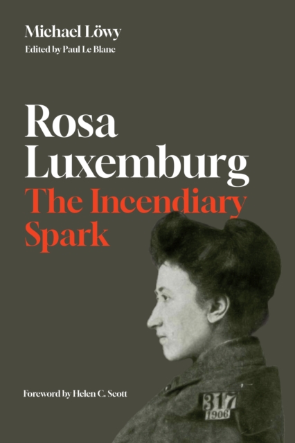 Rosa Luxemburg: The Incendiary Spark : Essays, Paperback / softback Book