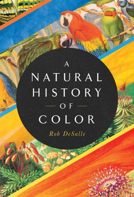 A Natural History of Color : The Science Behind What We See and How We See it, EPUB eBook