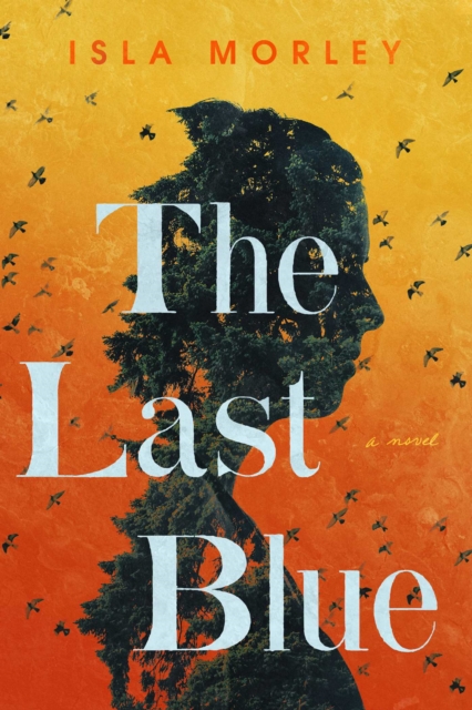 The Last Blue : A Novel, Paperback / softback Book