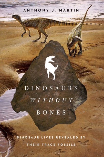 Dinosaurs Without Bones : Dinosaur Lives Revealed by Their Trace Fossils, EPUB eBook
