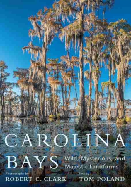 Carolina Bays : Wild, Mysterious, and Majestic Landforms, Hardback Book