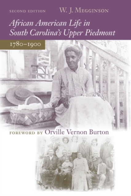 African American Life in South Carolina's Upper Piedmont, 1780-1900, Paperback / softback Book