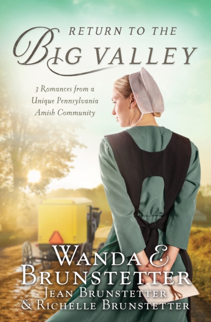 Return to the Big Valley, EPUB eBook