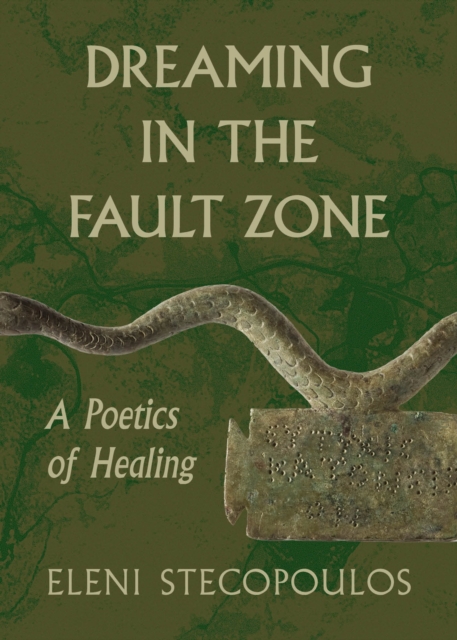 Dreaming in the Fault Zone : A Poetics of Healing, Paperback / softback Book