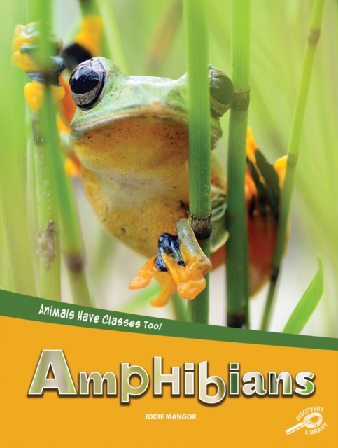 Animals Have Classes Too! Amphibians, PDF eBook