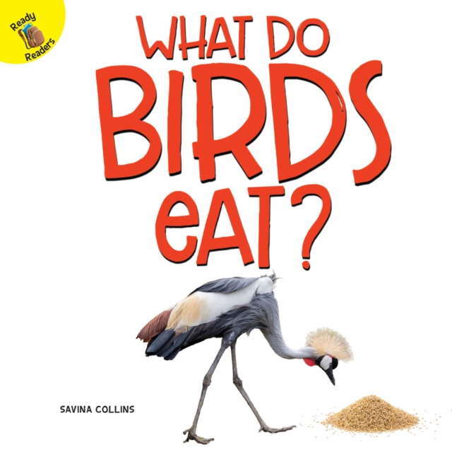 What Do Birds Eat?, EPUB eBook