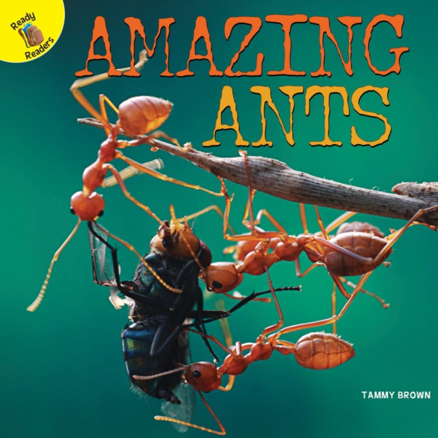 Amazing Ants, EPUB eBook