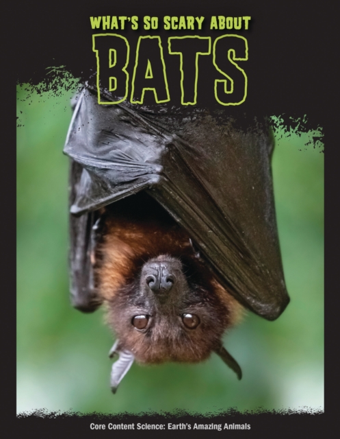 What's So Scary about Bats?, PDF eBook