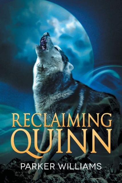 Reclaiming Quinn, Paperback / softback Book