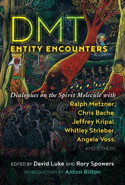 DMT Entity Encounters : Dialogues on the Spirit Molecule with Ralph Metzner, Chris Bache, Jeffrey Kripal, Whitley Strieber, Angela Voss, and Others, EPUB eBook