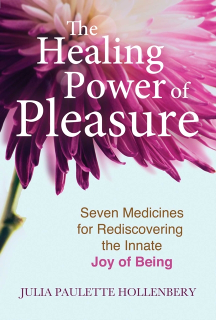 The Healing Power of Pleasure : Seven Medicines for Rediscovering the Innate Joy of Being, Paperback / softback Book