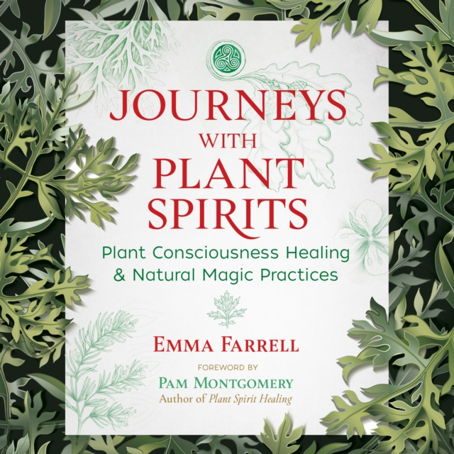 Journeys with Plant Spirits : Plant Consciousness Healing and Natural Magic Practices, eAudiobook MP3 eaudioBook