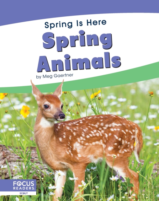Spring Is Here: Spring Animals, Hardback Book