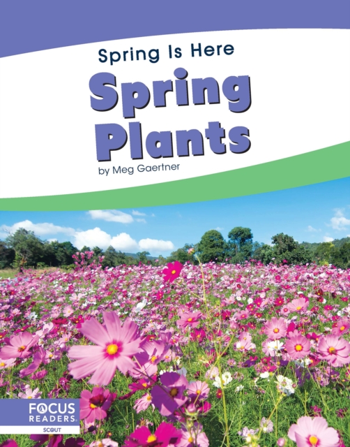 Spring Is Here: Spring Plants, Paperback / softback Book