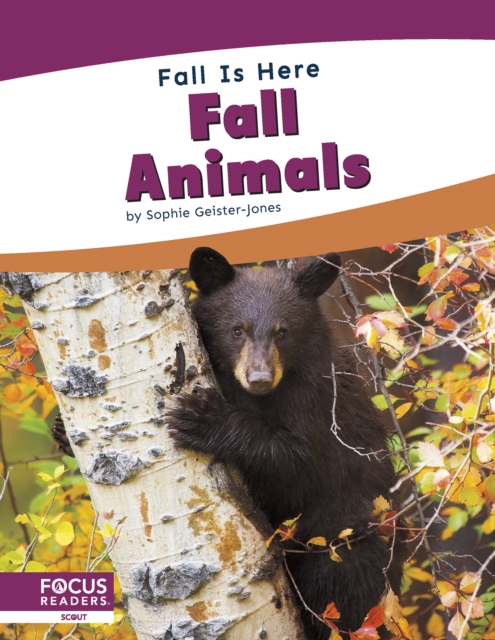 Fall is Here: Fall Animals, Hardback Book