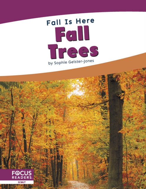 Fall is Here: Fall Trees, Hardback Book