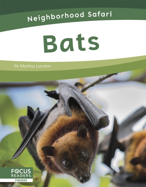 Neighborhood Safari: Bats, Hardback Book