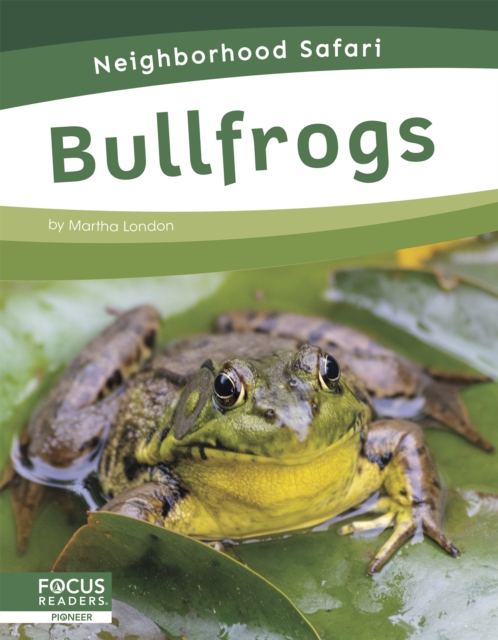 Neighborhood Safari: Bullfrogs, Hardback Book