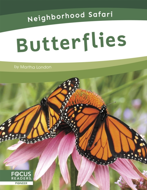 Neighborhood Safari: Butterflies, Hardback Book