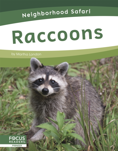 Neighborhood Safari: Raccoons, Hardback Book
