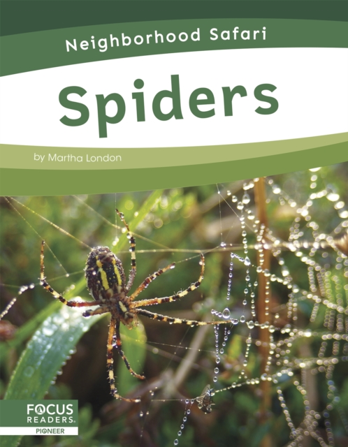 Neighborhood Safari: Spiders, Hardback Book