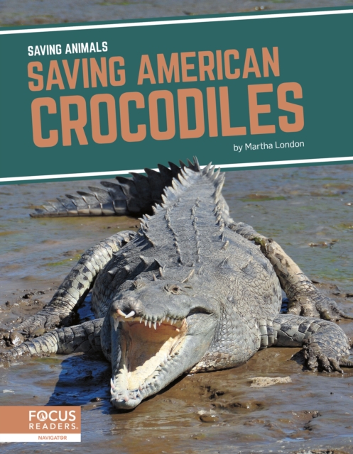 Saving Animals: Saving American Crocodiles, Hardback Book