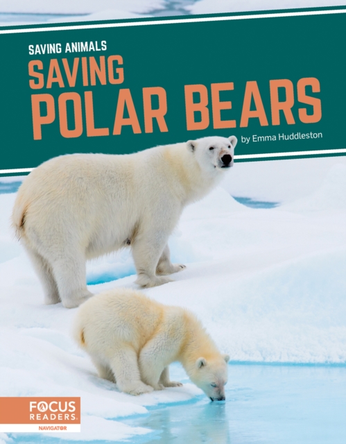 Saving Animals: Saving Polar Bears, Hardback Book