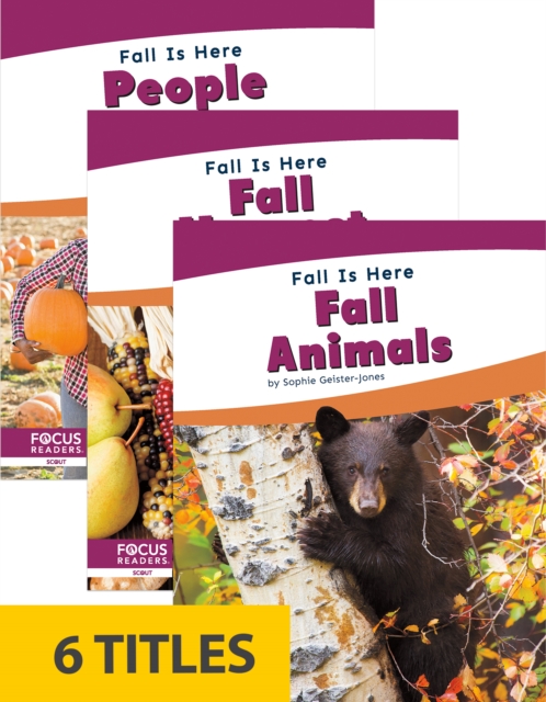 Fall Is Here (Set of 6), Paperback / softback Book