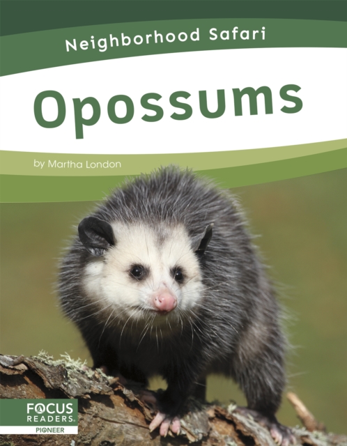 Neighborhood Safari: Opossums, Paperback / softback Book