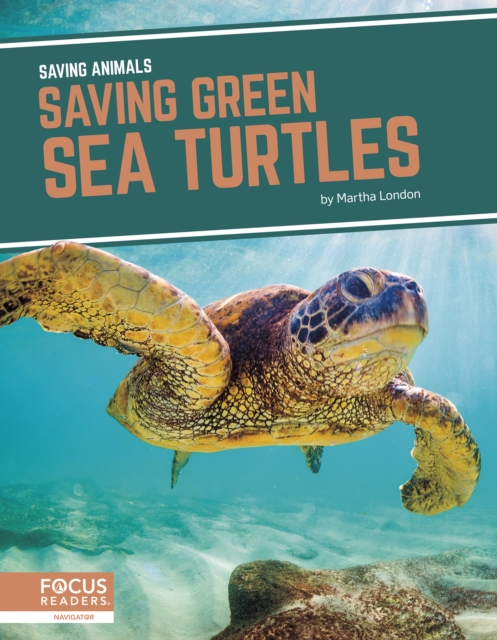 Saving Animals: Saving Green Sea Turtles, Paperback / softback Book