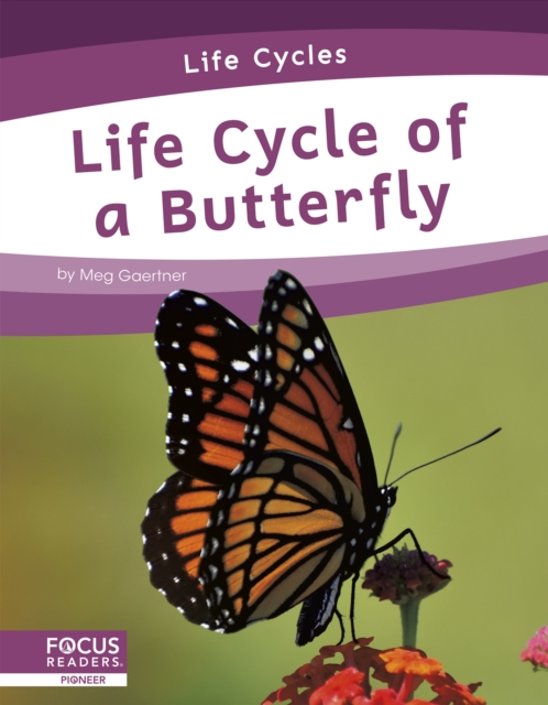 Life Cycles: Life Cycle of a Butterfly, Hardback Book