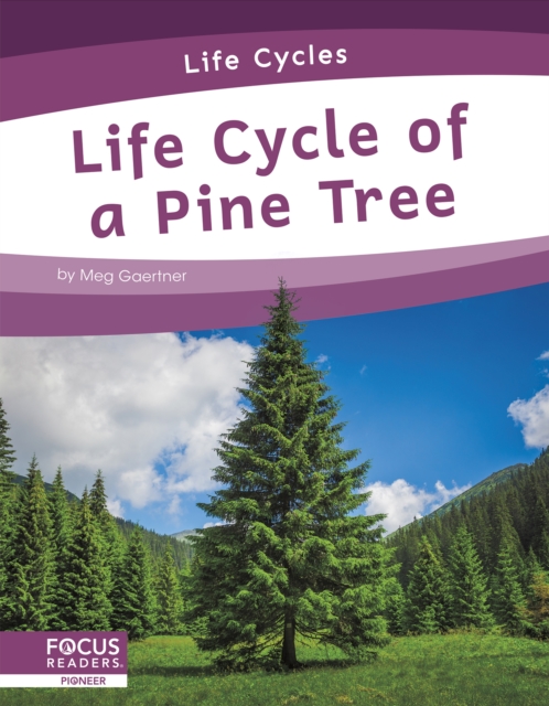 Life Cycles: Life Cycle of a Pine Tree, Hardback Book