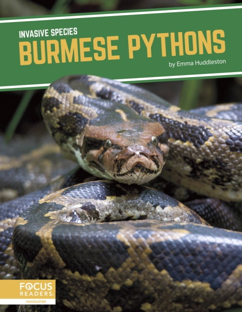Invasive Species: Burmese Pythons, Hardback Book