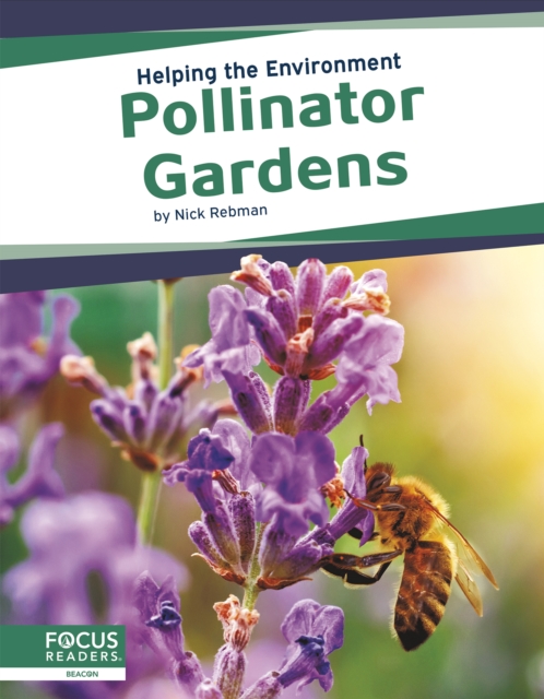 Helping the Environment: Pollinator Gardens, Paperback / softback Book