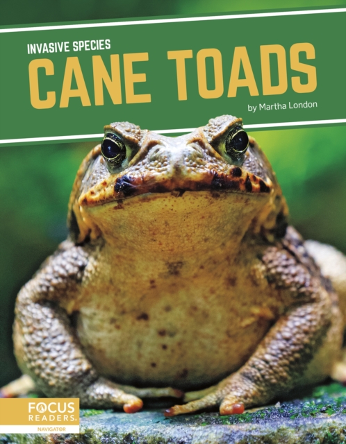 Invasive Species: Cane Toads, Paperback / softback Book
