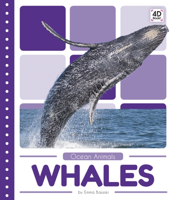Ocean Animals: Whales, Paperback / softback Book