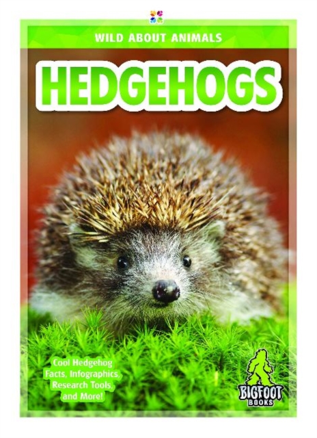 Wild About Animals: Hedgehogs, Paperback / softback Book