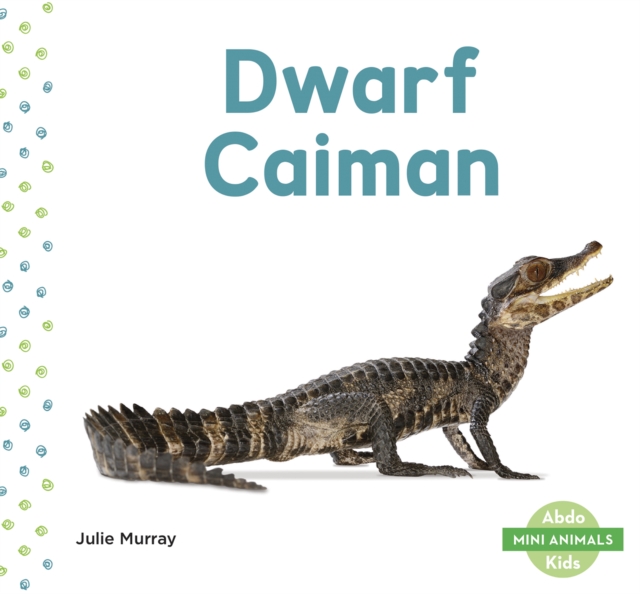 Mini Animals: Dwarf Caiman, Paperback / softback Book