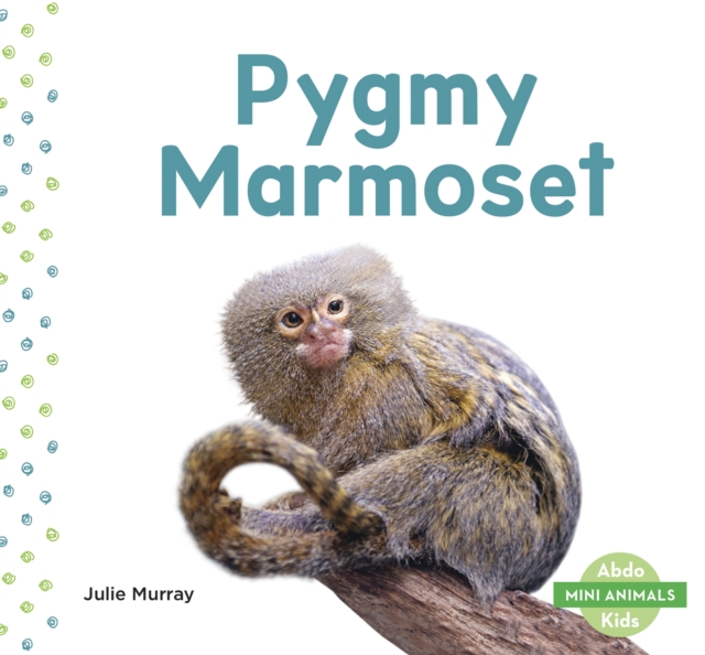 Mini Animals: Pygmy Marmoset, Paperback / softback Book