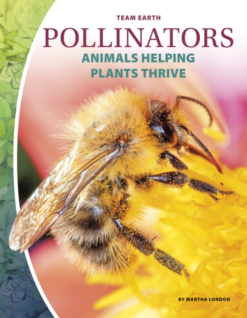 Team Earth: Pollinators, Paperback / softback Book