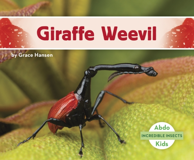 Incredible Insects: Giraffe Weevil, Paperback / softback Book