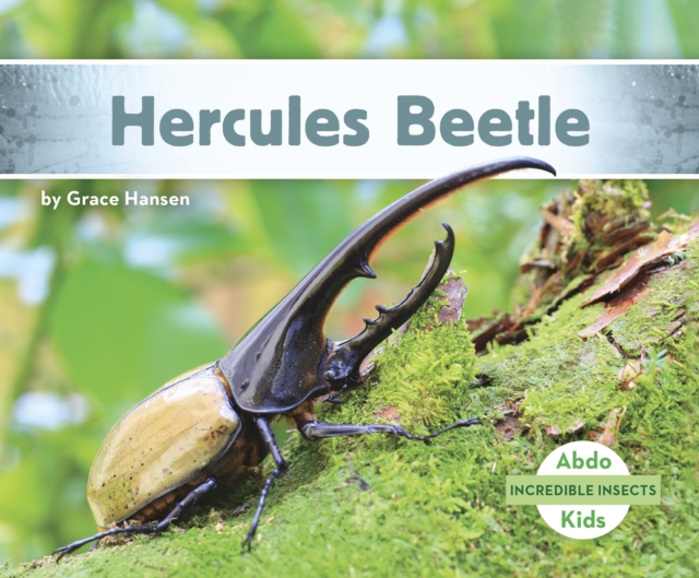 Incredible Insects: Hercules Beetle, Paperback / softback Book